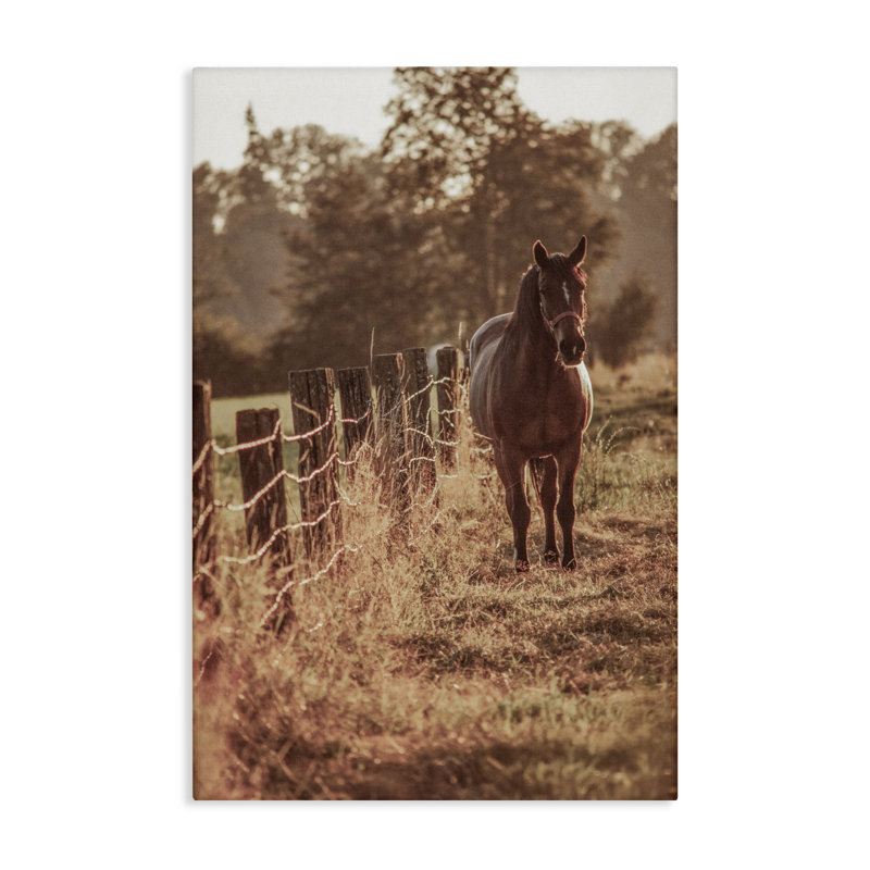 Toile «Horse's Ranch Scene», conception par Norm Stelfox, H 36 po x l 24 po