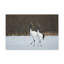 No Frame Print on Canvas