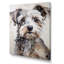 Yorkshire Terrier, portrait curieux-1169797451-1207524340