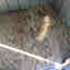 Photos des clients 1 de 3