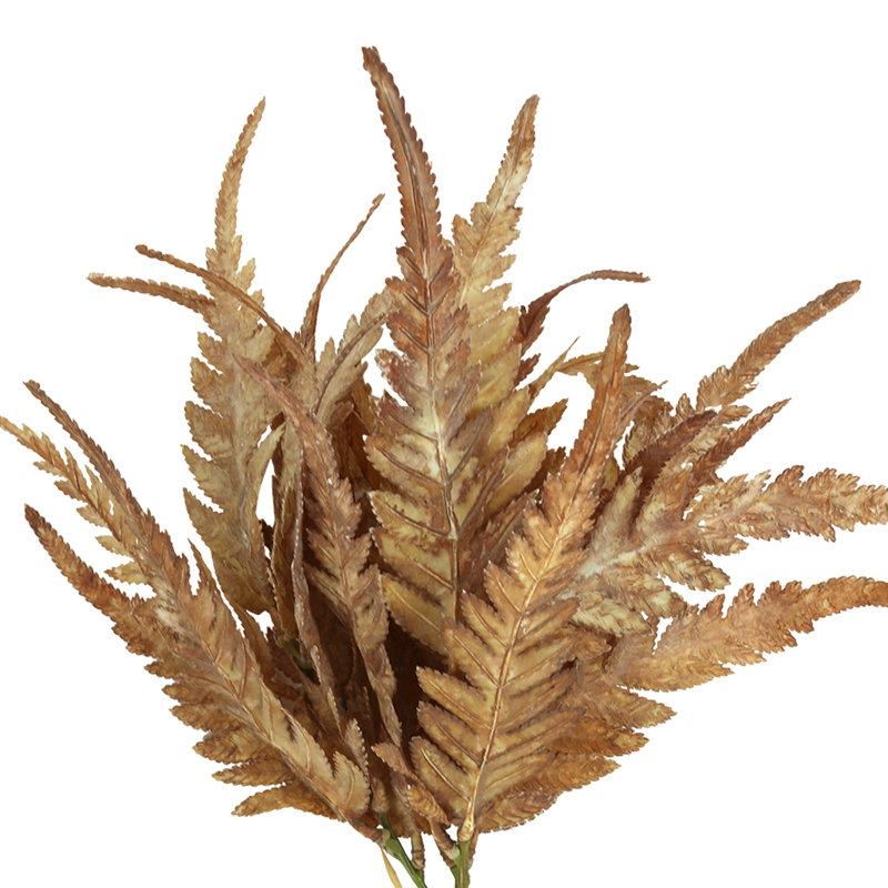 Fern Bundle (Set of 2), Tan