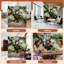 Cloison pliante 4 panneaux paravent Royal Oak Tree Johns Island South