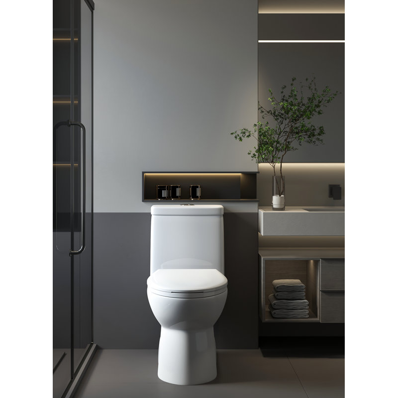 Poseidon Dual-Flush Elongated One-Piece Toilet (Seat Included), Pure White/Silver