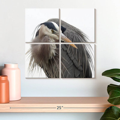 Brampt Glaring Great Blue Heron