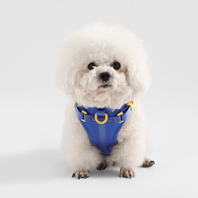 Harnais pour animal de compagnie Arlo, Bleu très foncé