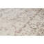 Ziegler Wool Oriental Area Rug