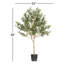 Olive verte artificielle dans un pot de fleurs noir-881041604