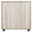 Ekaterini 2 -Door 1 -Shelf Storage Cabinet