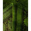 Overdyed One-of-a-Kind 9' 4" X 12' 2" Hand Knotted Area Rug
