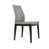 Light Gray PPM