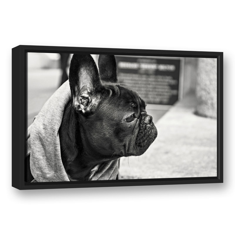 " Frenchie ", 17.75" H x 25.75" W x 1.75" D