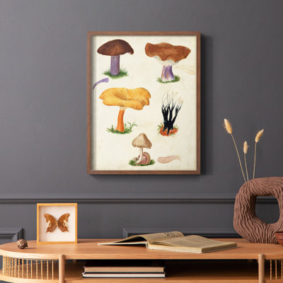 Reproduction encadrée Mushroom Species VII - bois massif