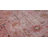 Gagliardi Floral Indoor / Outdoor Rug-2031826110