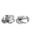 Sea And Shore Salt And Pepper Shaker Set