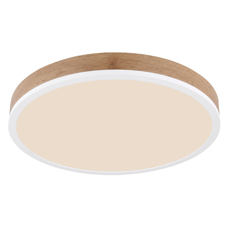 Plastic LED Flush Mount