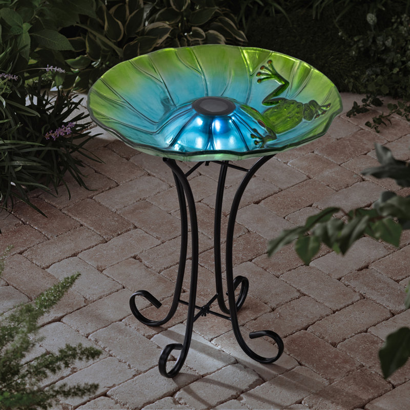 Solar Frog Bird Bath