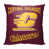 Central Michigan University