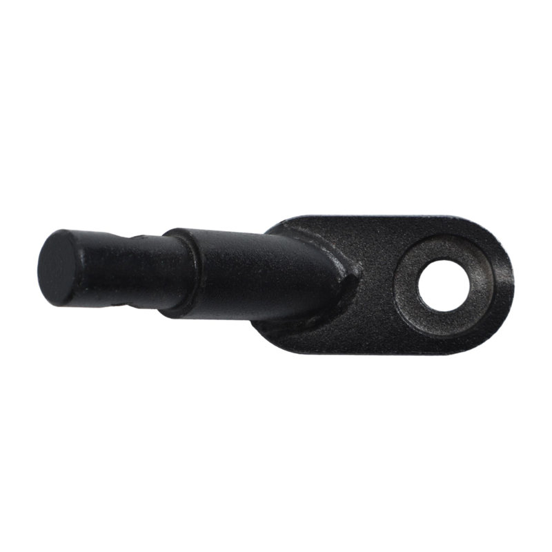 Remorque 2 en 1 et chariot poussoir pour animaux de compagnie, Noir
