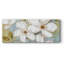 Fleurs blanches-485919715