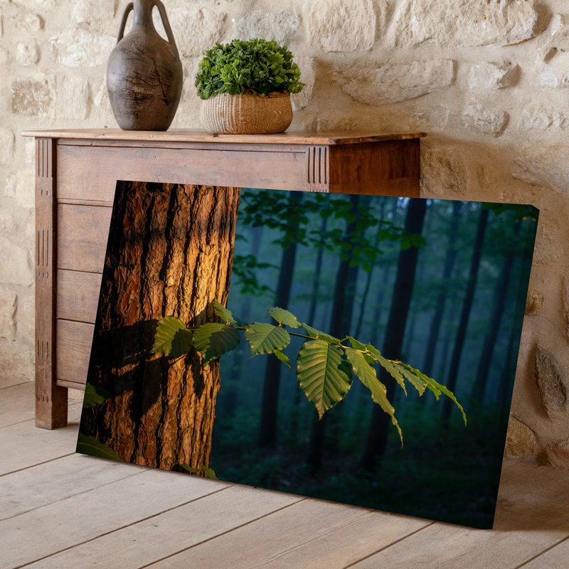 Toile, scène sereine de forêt avec gros plan sur un tronc d'arbre avec écorce brune texturée partiellement illuminée par une toile tendue