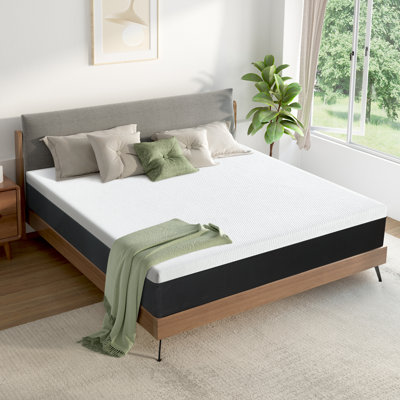 Alwyn Home Wayland 14