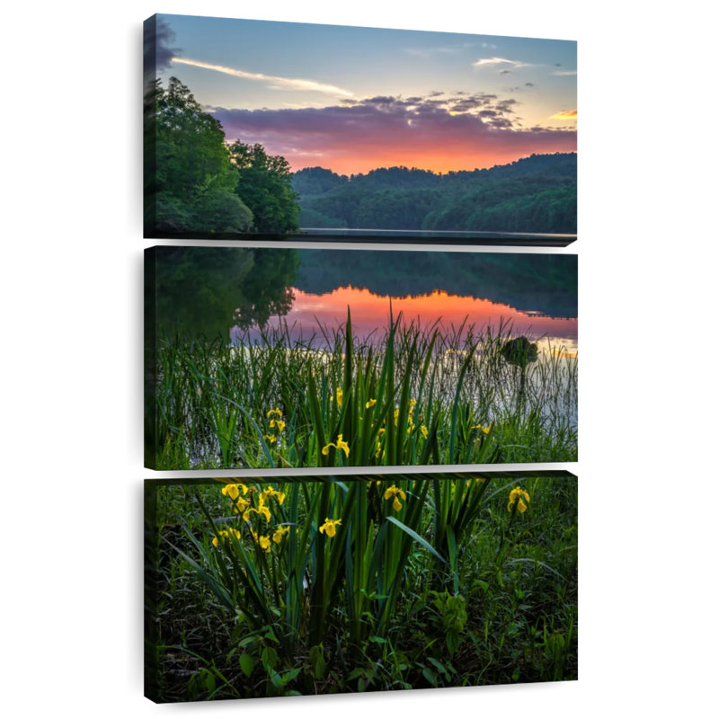 Iris jaunes des Appalaches Alvord, H 32 po x l 20 po