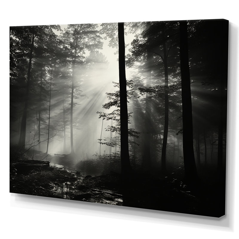 «Black and White Forest Silence», photographie encadrée, Toile tendue, H 34 po x l 44 po x P 1,5 po