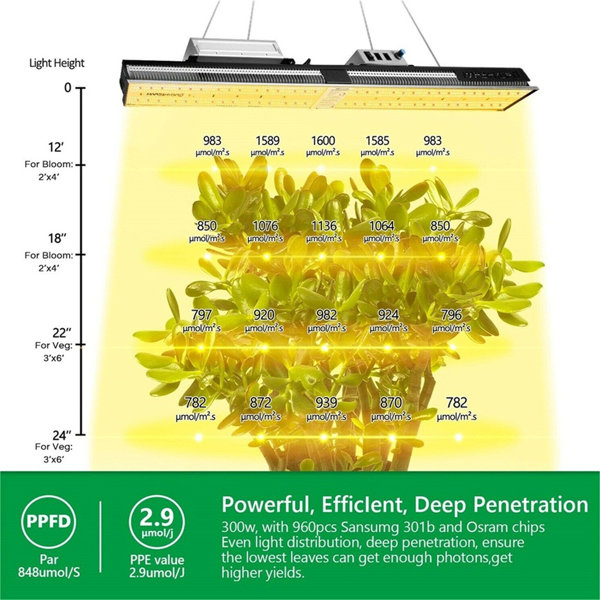 Complete 48 x48 x80 Grow Tent Kit with Dual HPS Lights 300