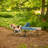 Alpcour XL Compact Folding Camping Bed - Steel Frame, Polyester, 500 Lbs Capacity