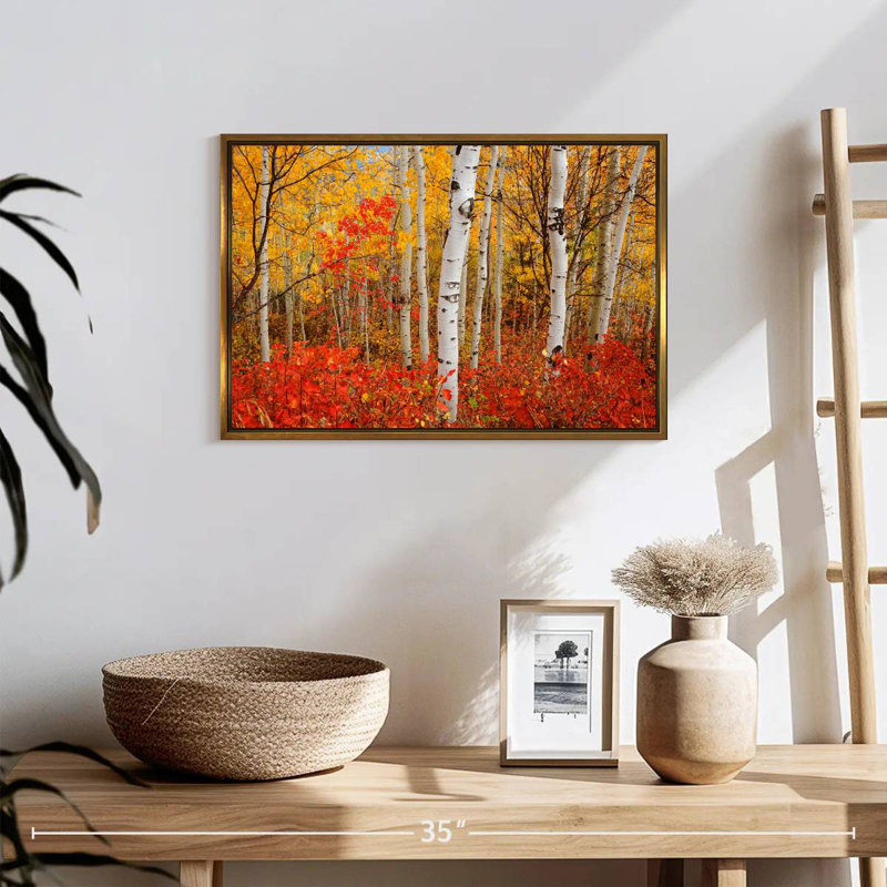 Bouleaux d'automne, 19 po x 13 po, Cadre flottant doré