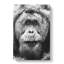 Orangutan - Wrapped Canvas-55310933