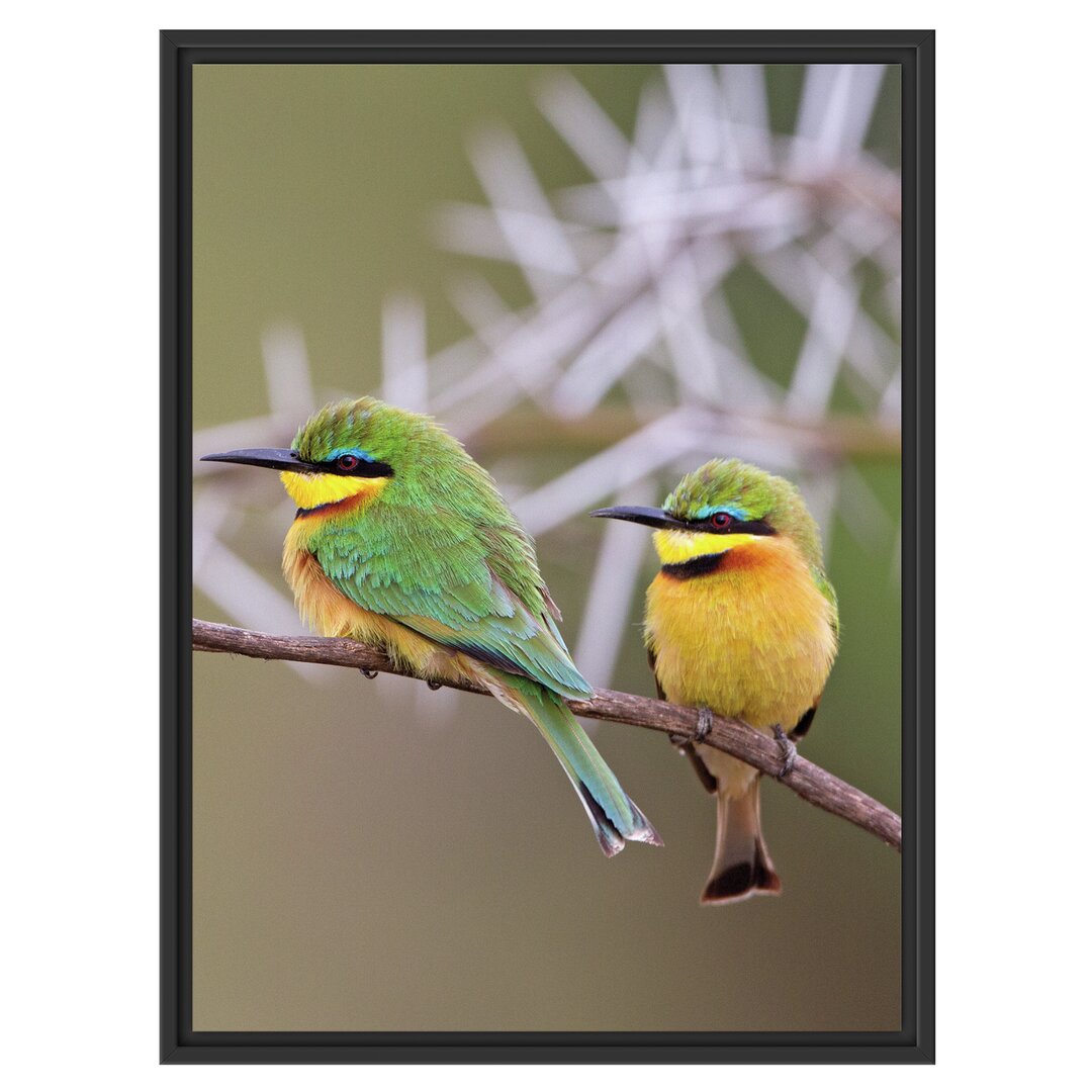 Gerahmtes Wandbild Vögel auf Ast