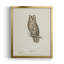Scops - hibou grand-duc - toile encadrée de qualité supérieure - prête à être accrochée