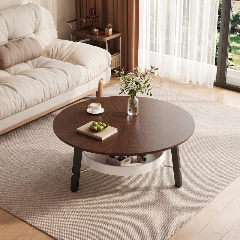 Table basse ronde avec tablette de rangement, pieds, table de centre minimaliste moderne pour le salon, meubles d'appoint de style campagnard pour petits espaces, assemblage facile