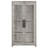 Myerson Grey Driftwood 2-Door Engineered Wood Tall Cabinet