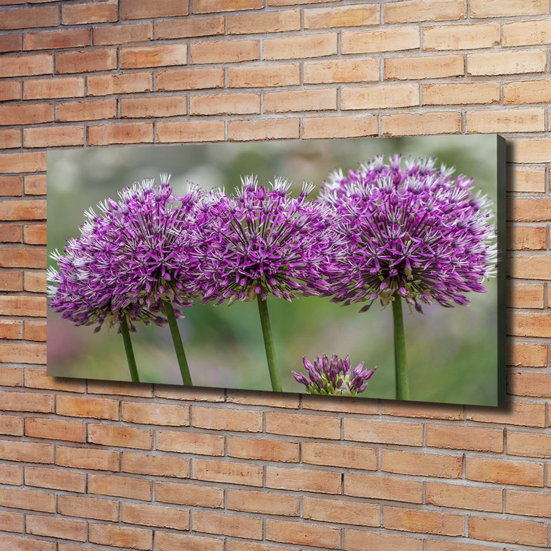 Garlic Flower 1 Piece Wrapped Canvas Wall Art
