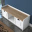 Baneen 8 Pair Shoe Storage Cabinet
