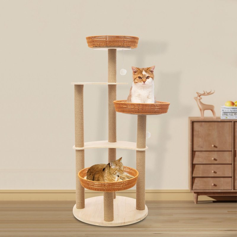 Grattoir pour chat et nid