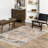 Faded Medallion Fringe Area Rug-1065177266