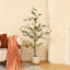 Adcock Artificial Black Olive Tree in White Pot, Tall Faux Shady Lady Tree for Indoor Home Decor-551213902