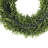 UV Boxwood Round Wreath 17.5"