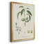 Antique Ammond Botanical I, reproduction d'art encadrée-88436219-88436218