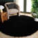 Assar Black Area Rug