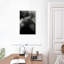 Lilie No 100, rue King-108443291
