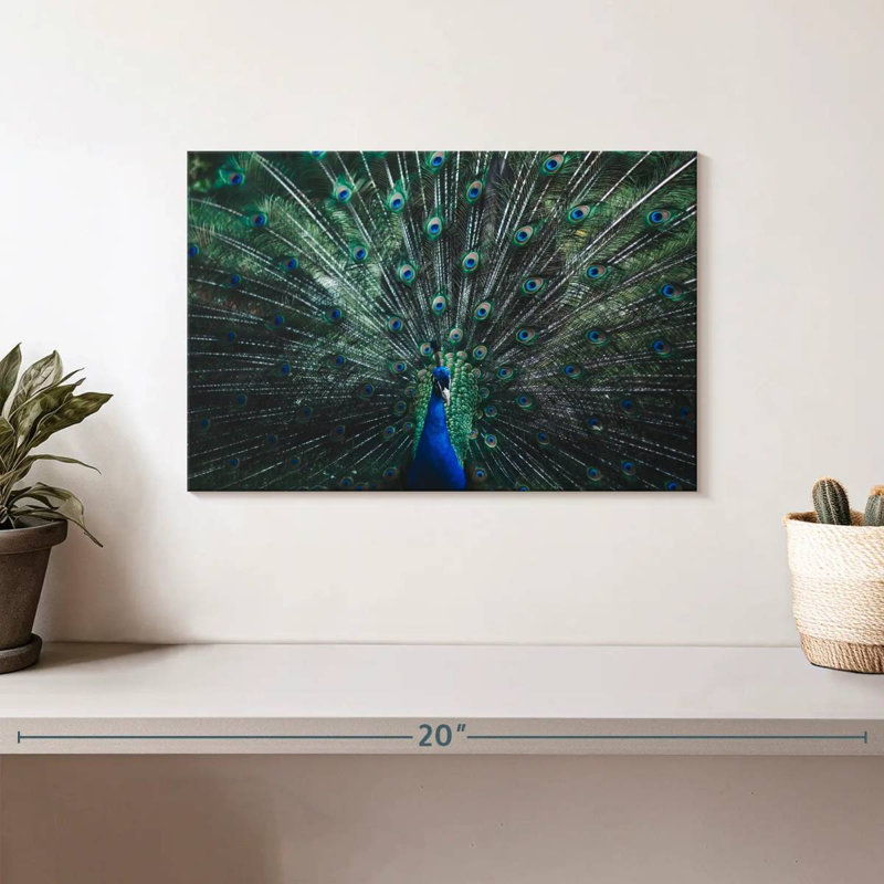 Crowle Beautiful Peacock Feather, 8" H x 12" W