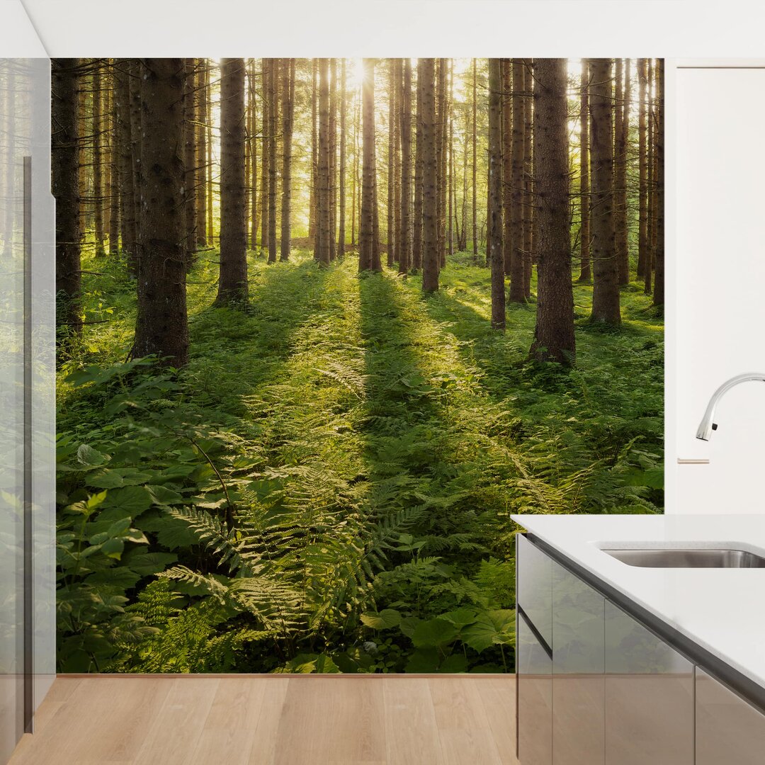 Matt Fototapete Sonnenstrahlen in Grünem Wald 2,4 m x 240 cm