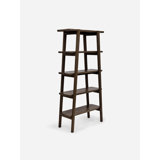 Apanas Ladder