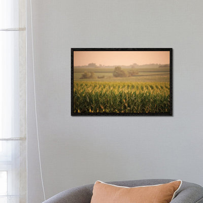 A Non-Irrigated Field Of Corn Near Bennet, Nebraska by Joel Sartore - Gallery-Wrapped Canvas Giclée on Canvas