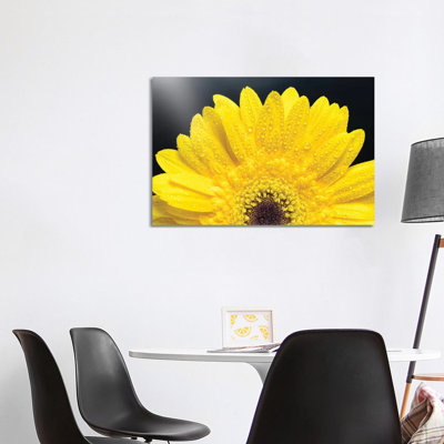 Yellow Gerber Daisy 1 Piece Wrapped Canvas Wall Art