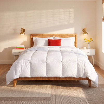 600 Fill Power All Season Down Comforter/Duvet Insert